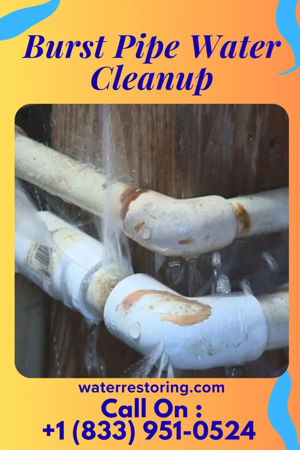 Burst Pipe Water Cleanup in Glassport, PA