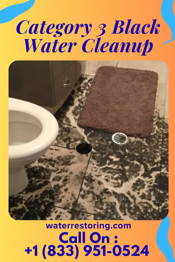 Category 3 Black Water Cleanup in Glassport, PA