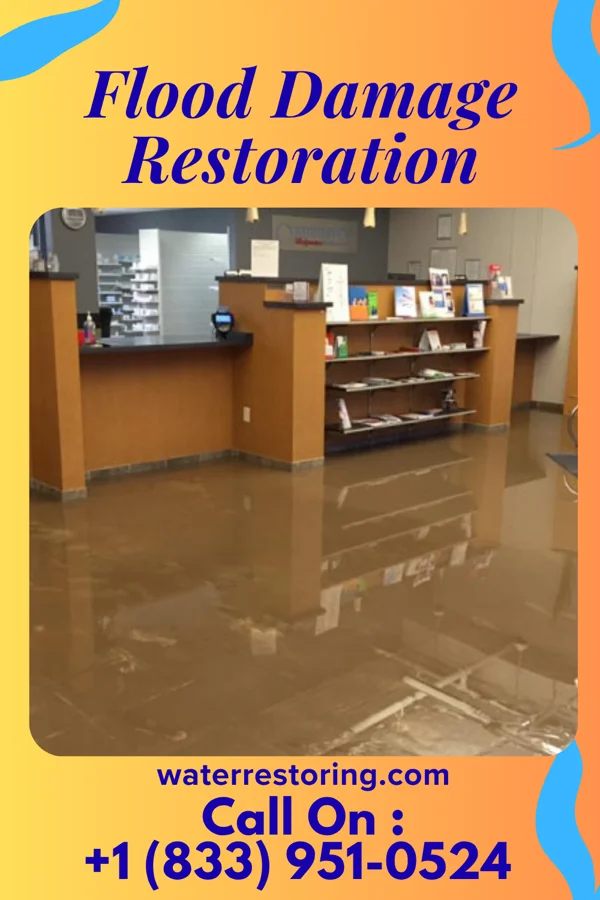 Flood Damage Restoration in Glassport, PA