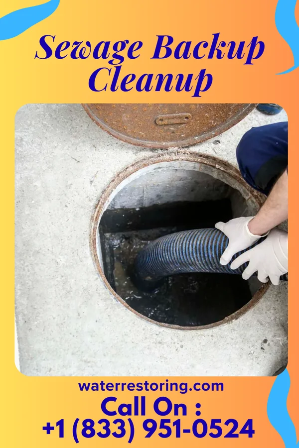 Sewage Backup Cleanup in Glassport, PA
