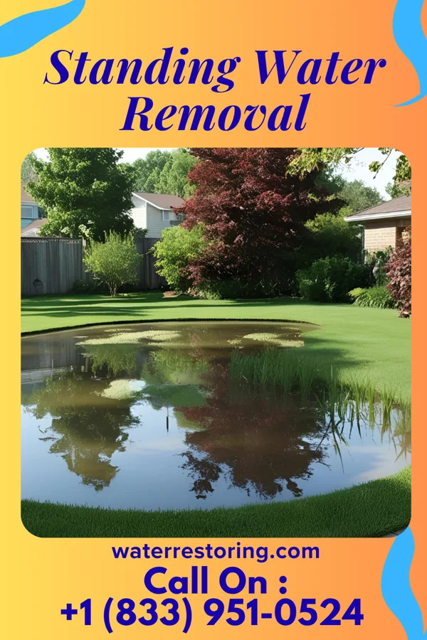 Standing Water Removal in Glassport, PA